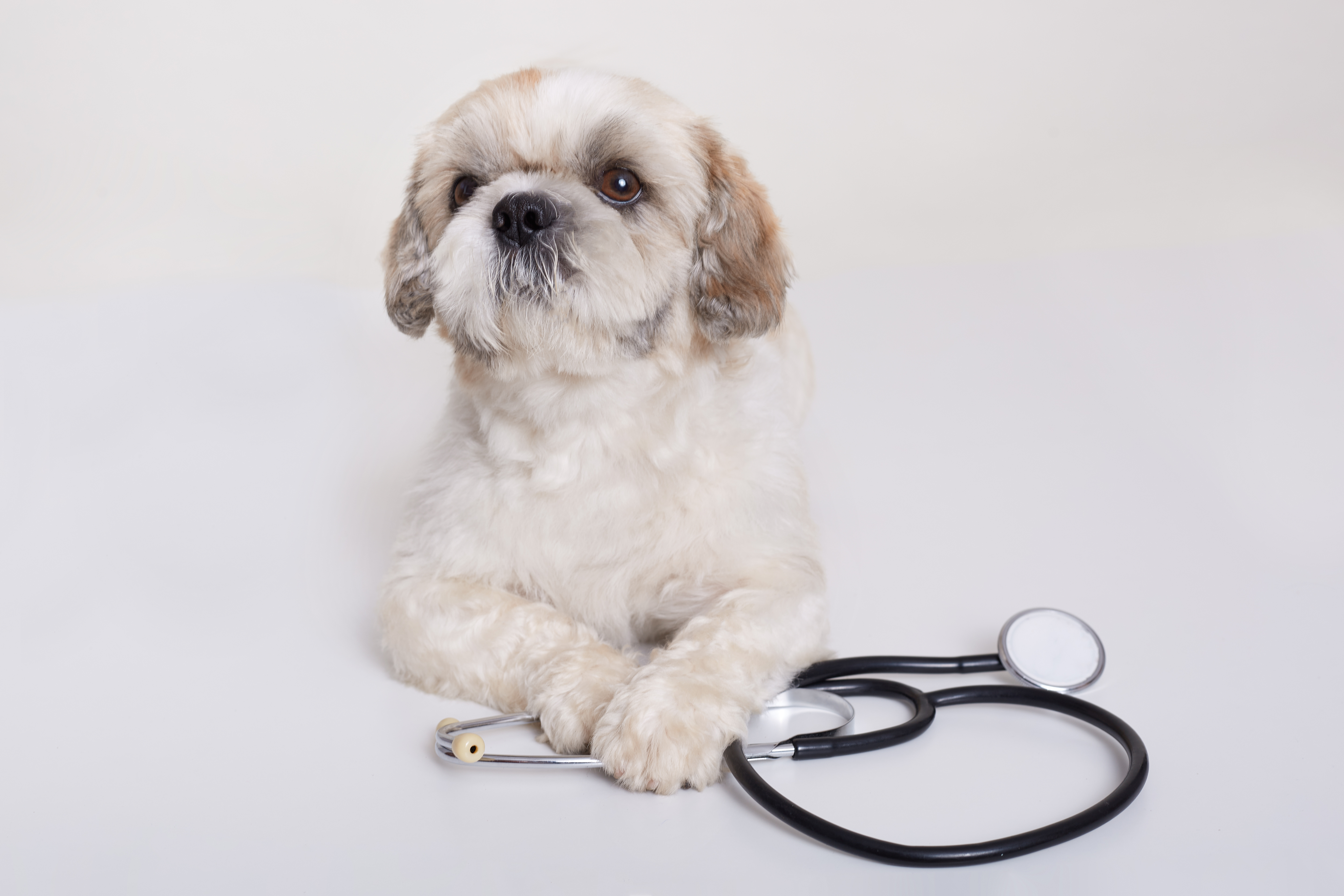 Check-Up